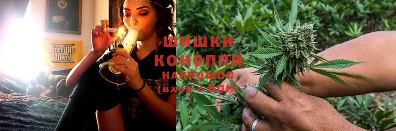 купить наркотики сайты  Подпорожье  блэк спрут ТОР  Каннабис LSD WEED 